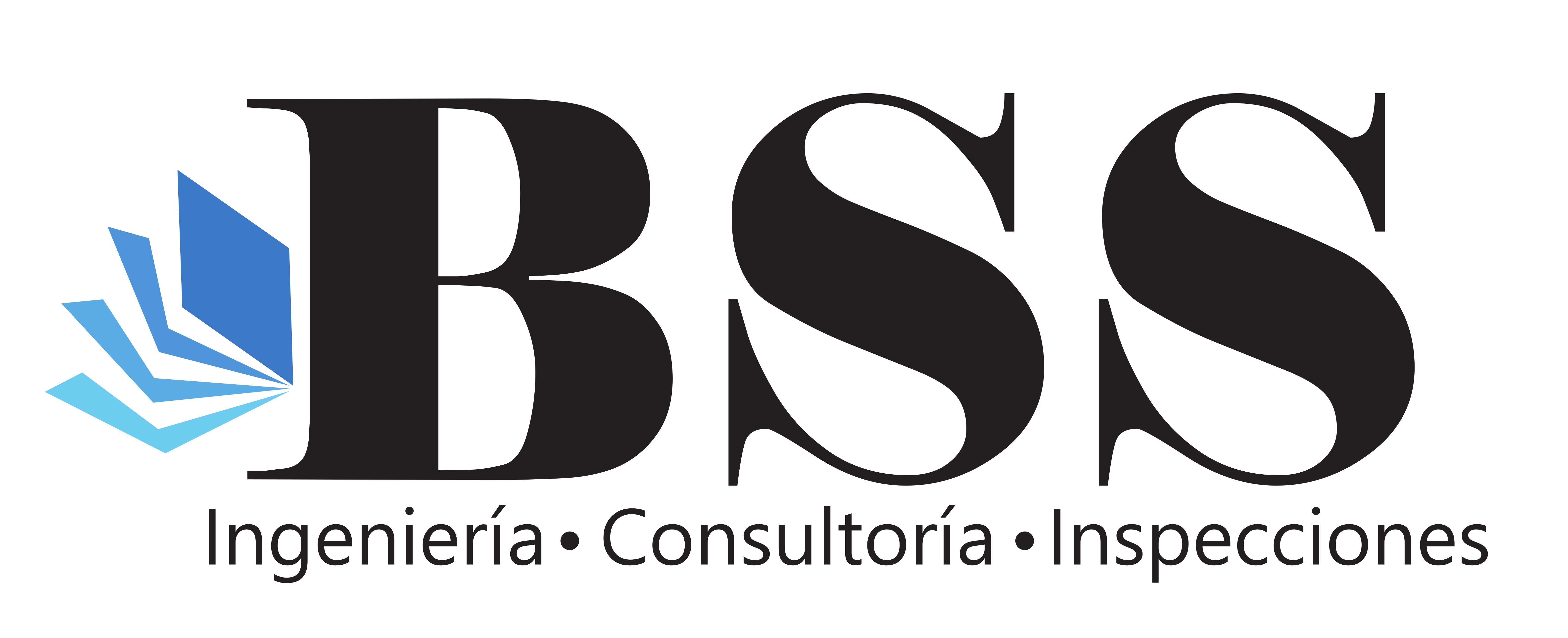 BSS  Logo
